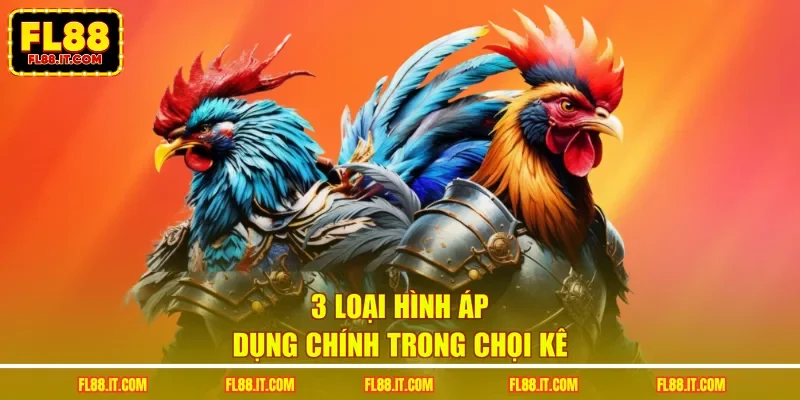 3 loại hình áp dụng chính trong chọi kê