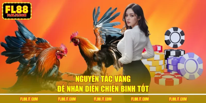 Nguyên tắc vàng để nhận diện chiến binh tốt